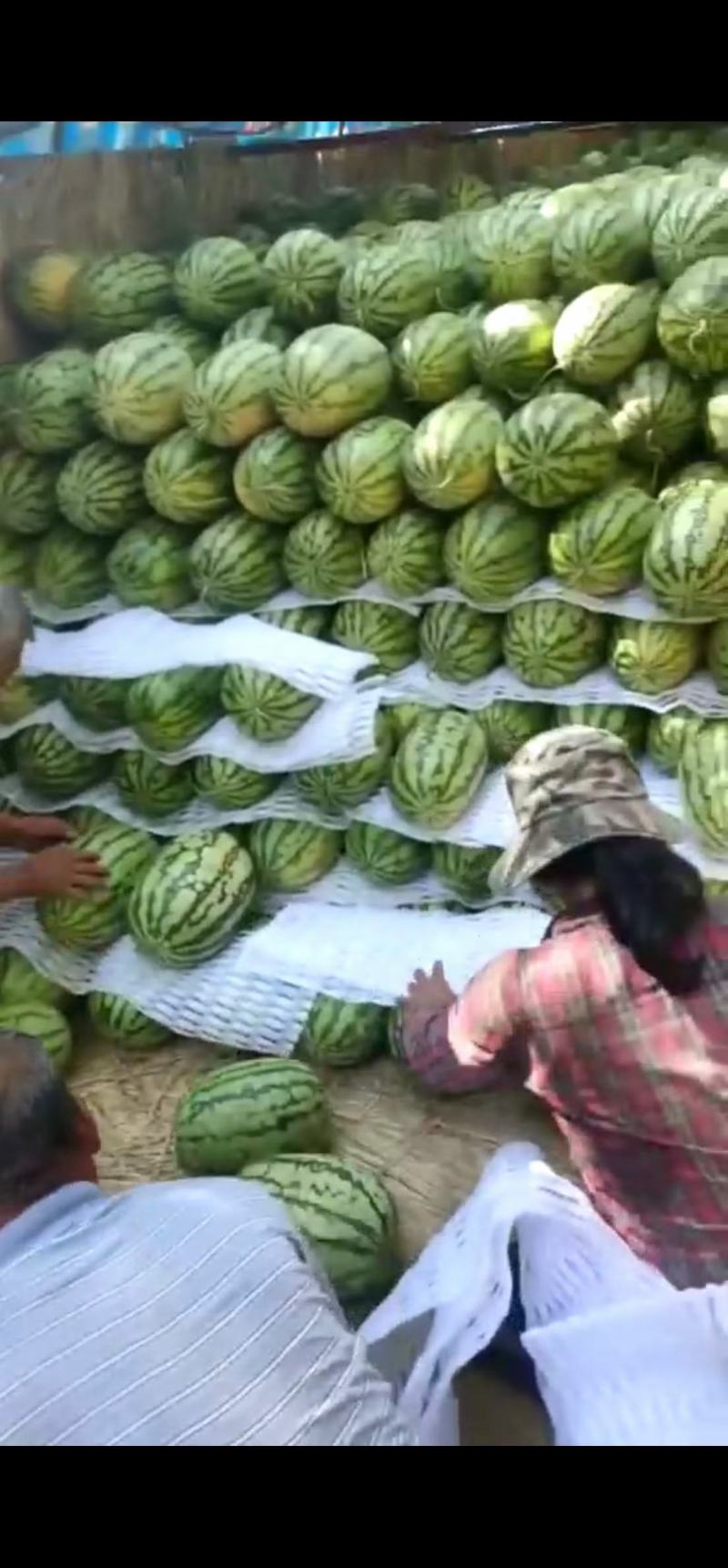 西瓜宁夏硒砂瓜！大量上市！糖度13个打底！保质保量！