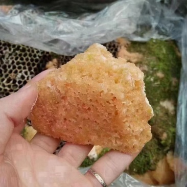 蜂蜜！岩蜂蜜！蜂巢蜜江湖地摊暴利产品价格便宜