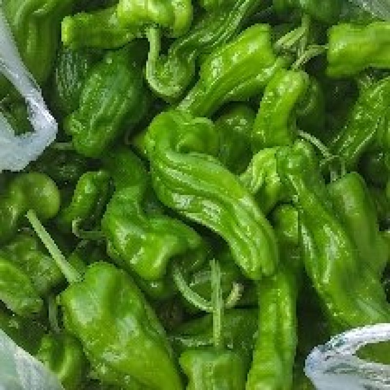 芜湖椒，原产地自家种植，量大保质保量欢迎订购