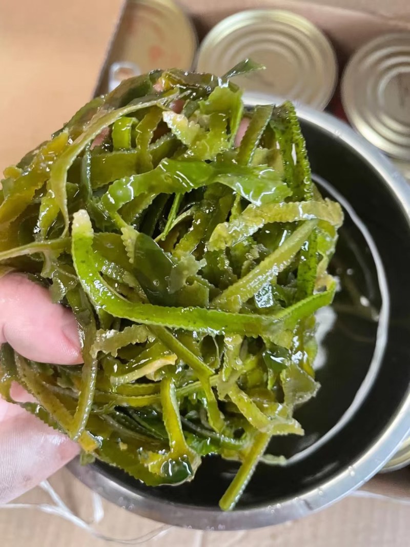 跑江湖地摊赶集干杂特级干海带丝盐渍海带丝产地一手货源
