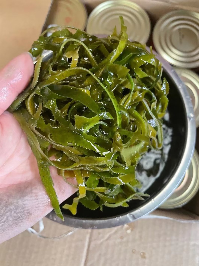 跑江湖地摊赶集干杂特级干海带丝盐渍海带丝产地一手货源