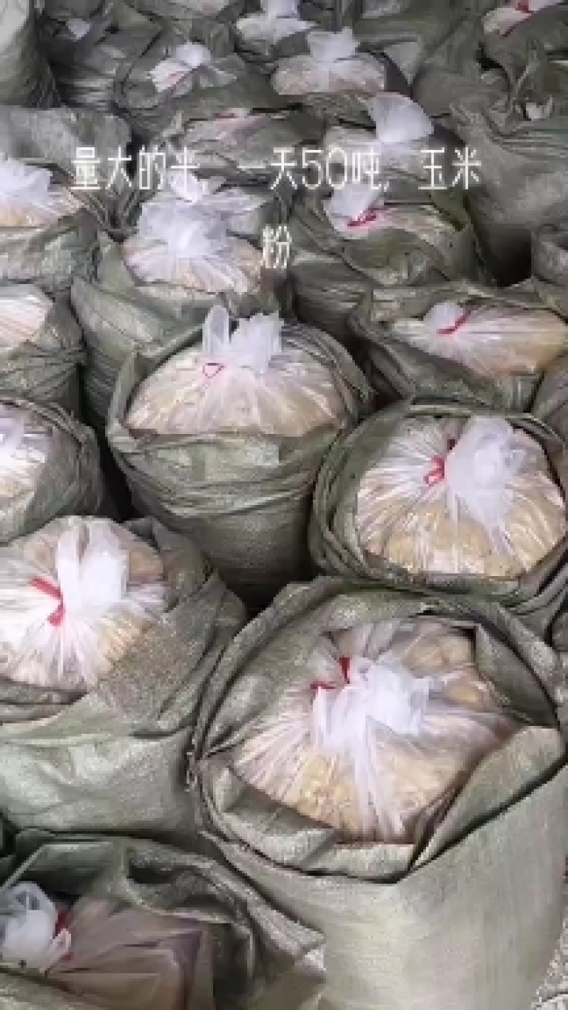 熟化玉米渣，200度高温蒸煮，蛋白12.07个，脂肪9个