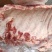 大肥猪二级肋排10kg8片10片左右