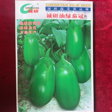 杂交油绿茄青茄子种子早熟浓绿油亮籽少质嫩丰产商品性佳