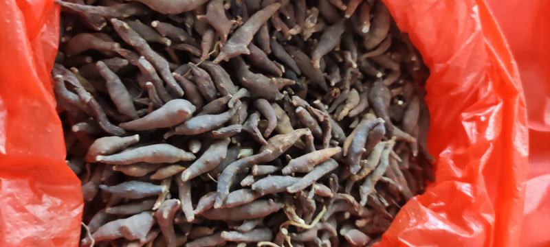 两头尖～涨价中~1公斤起售～诚信合作~