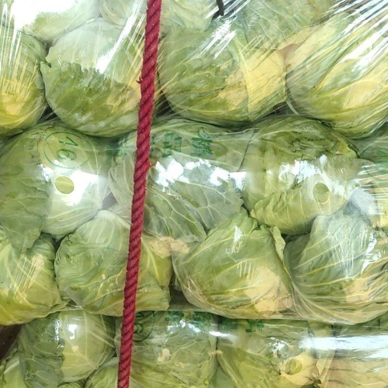 【热卖】精品甘蓝，品类齐全，价格合理，产地一手货