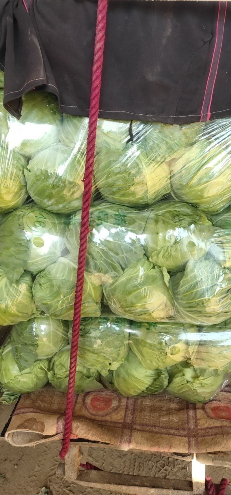 【热卖】精品甘蓝，品类齐全，价格合理，产地一手货