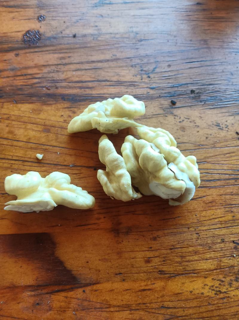 青皮核桃大量上市，欢迎老板前来看货