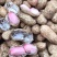 【电话议价】鲁花鲜花生新鲜花生量大从优协助找车电联
