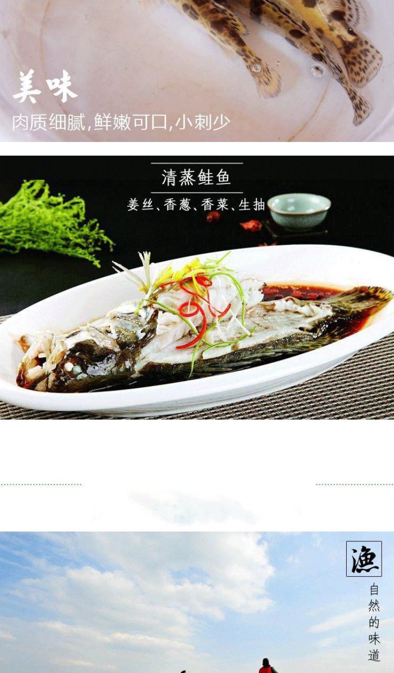 非臭鳜鱼活冻桂鱼新鲜桂花鱼新鲜鳜鱼冰鲜季花鱼鱼鳃包红不缺