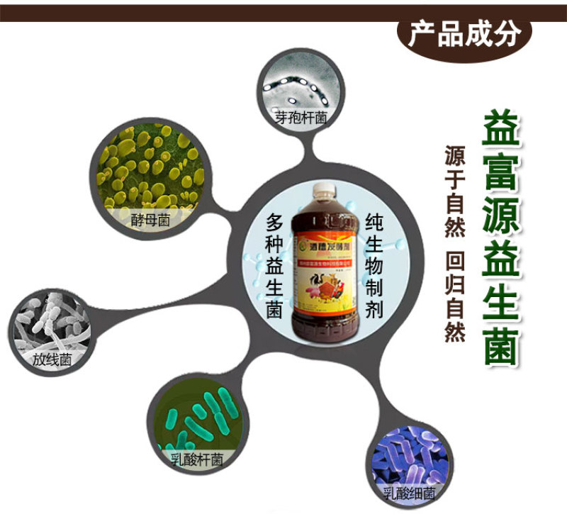 酒糟发酵剂发酵白酒酒糟啤酒酒糟醋糟