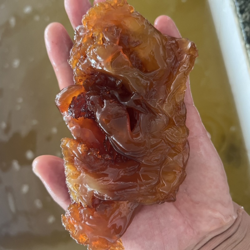印尼头海蜇海蜇头进口海蜇红头电商微商社区团购酒店食材