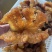 印尼头海蜇海蜇头进口海蜇红头电商微商社区团购酒店食材