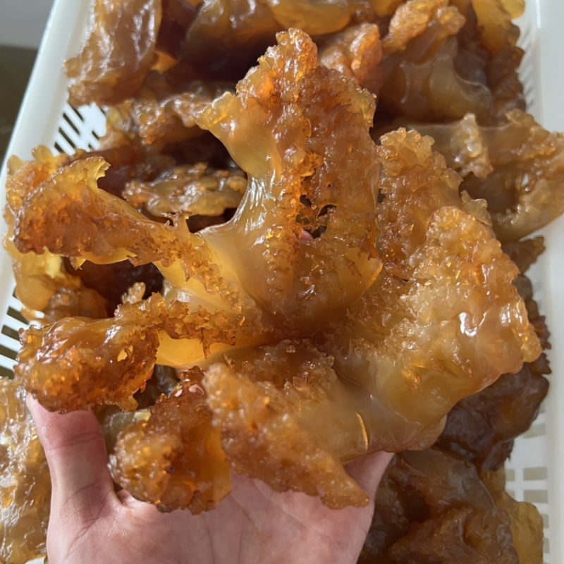 印尼头海蜇海蜇头进口海蜇红头电商微商社区团购酒店食材