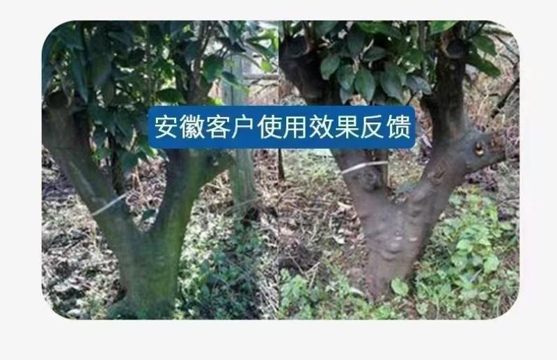 青苔一遍净，效果看得见