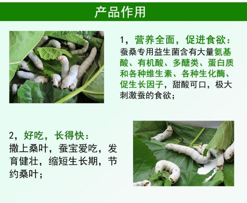 益富源蚕用益生菌蚕用药喷洒桑叶喂蚕养蚕用