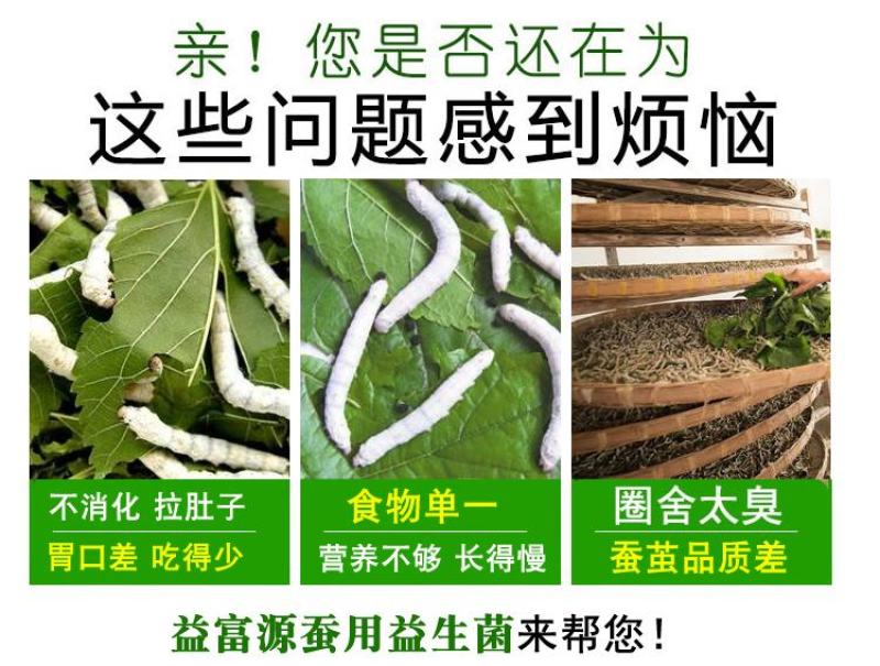 益富源蚕用益生菌蚕用药喷洒桑叶喂蚕养蚕用