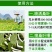 益富源蚕用益生菌蚕用药喷洒桑叶喂蚕养蚕用