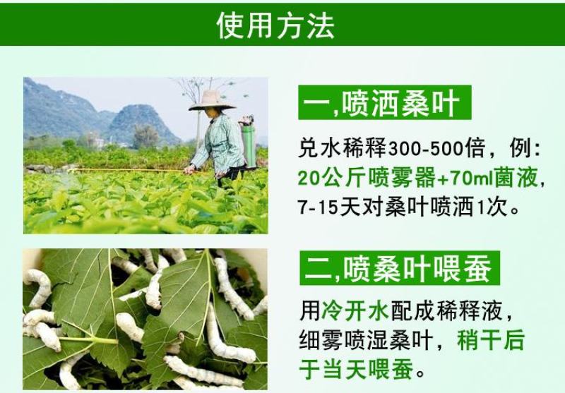 益富源蚕用益生菌蚕用药喷洒桑叶喂蚕养蚕用