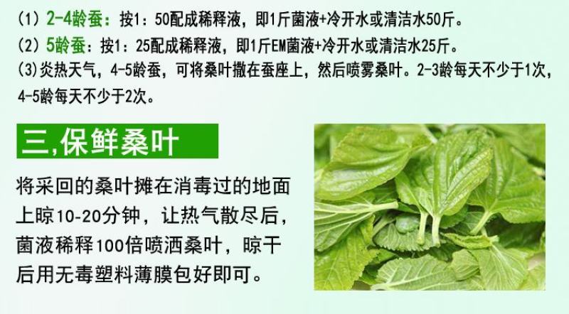 益富源蚕用益生菌蚕用药喷洒桑叶喂蚕养蚕用