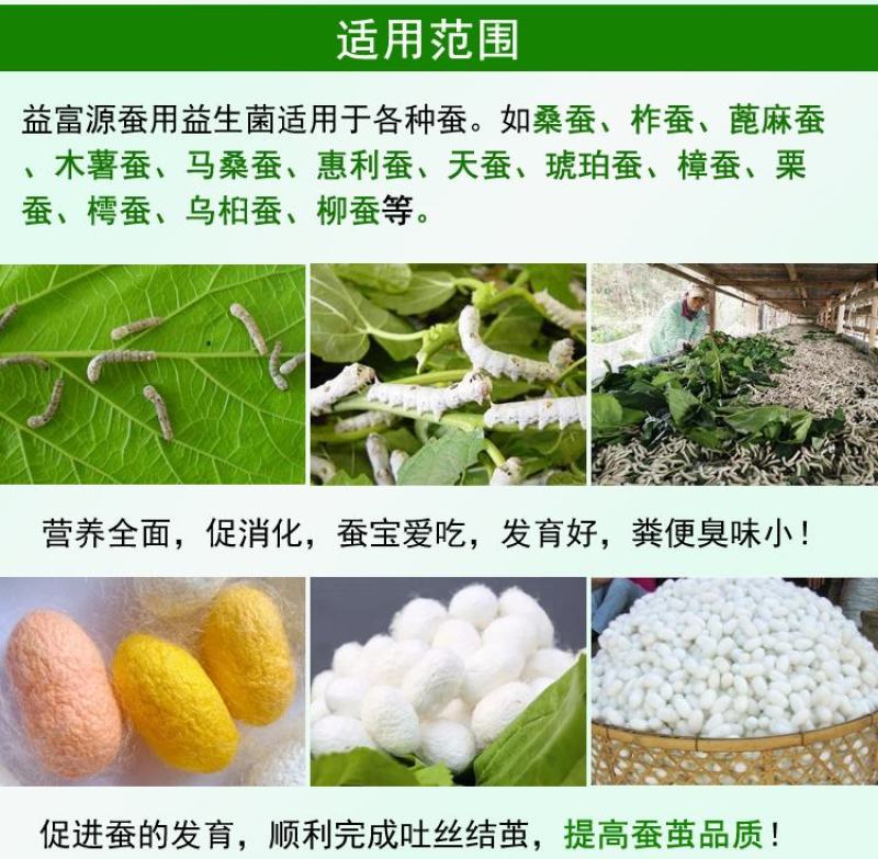 益富源蚕用益生菌蚕用药喷洒桑叶喂蚕养蚕用