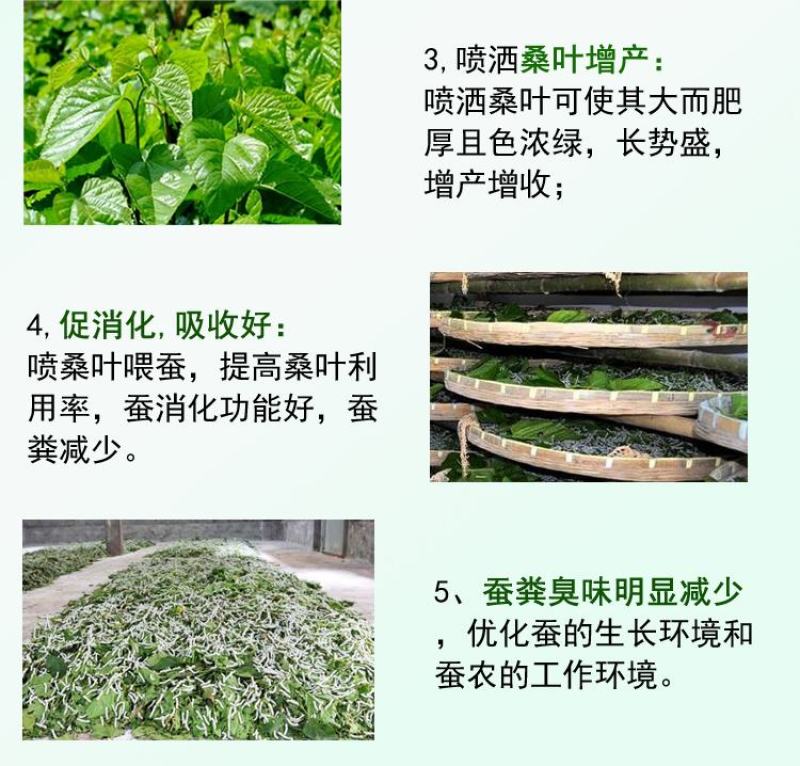 益富源蚕用益生菌蚕用药喷洒桑叶喂蚕养蚕用
