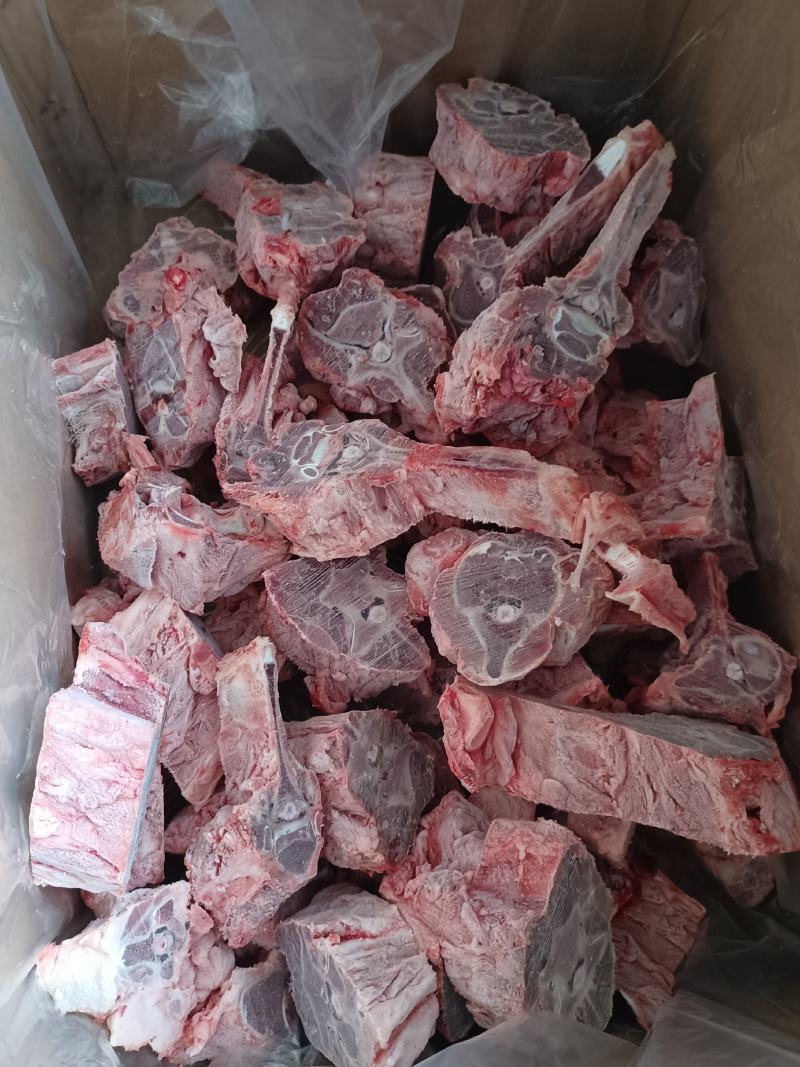 大羊带肉蝎子7一斤，日产一千斤可定制包装