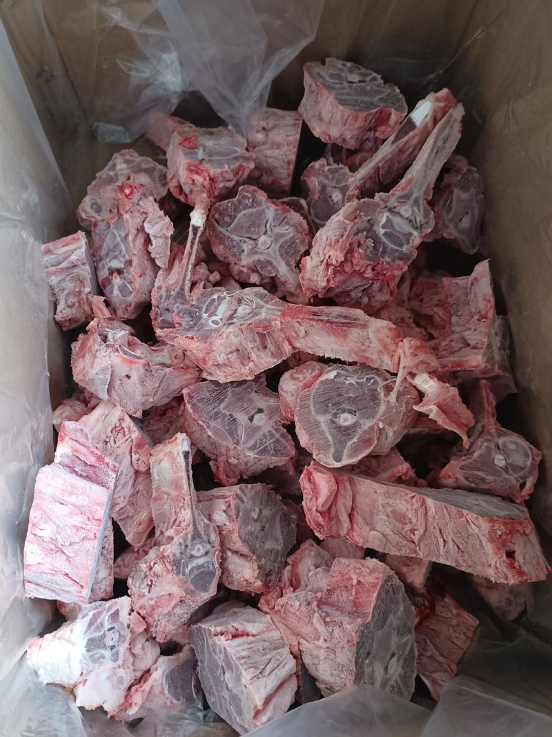 大羊带肉蝎子7一斤，日产一千斤可定制包装