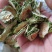 苦瓜干苦瓜片，烘干苦瓜片苦瓜干，新鲜苦瓜干大量上市