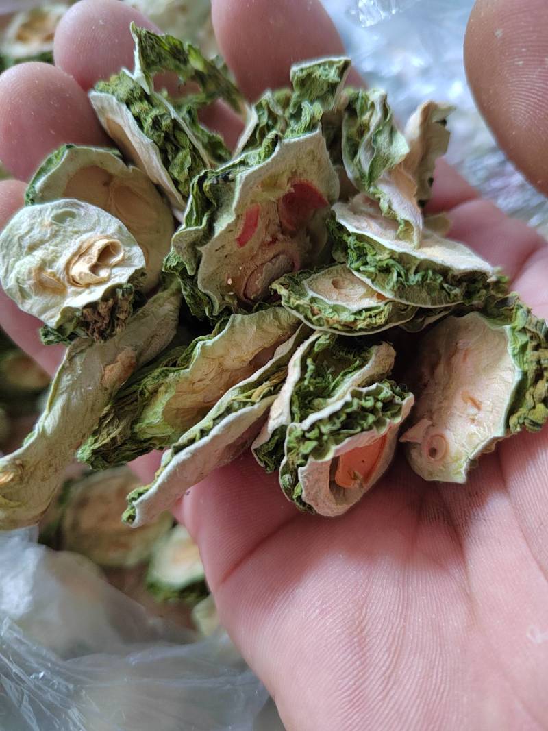 苦瓜干苦瓜片，烘干苦瓜片苦瓜干，新鲜苦瓜干大量上市