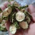 苦瓜干苦瓜片，烘干苦瓜片苦瓜干，新鲜苦瓜干大量上市