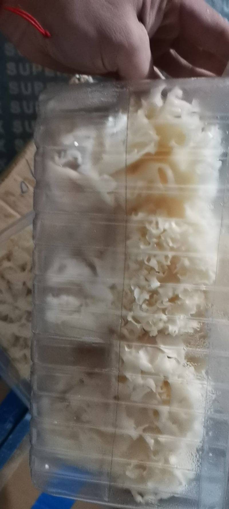 绣球菌基地一手货源供应商超电商欢迎选购