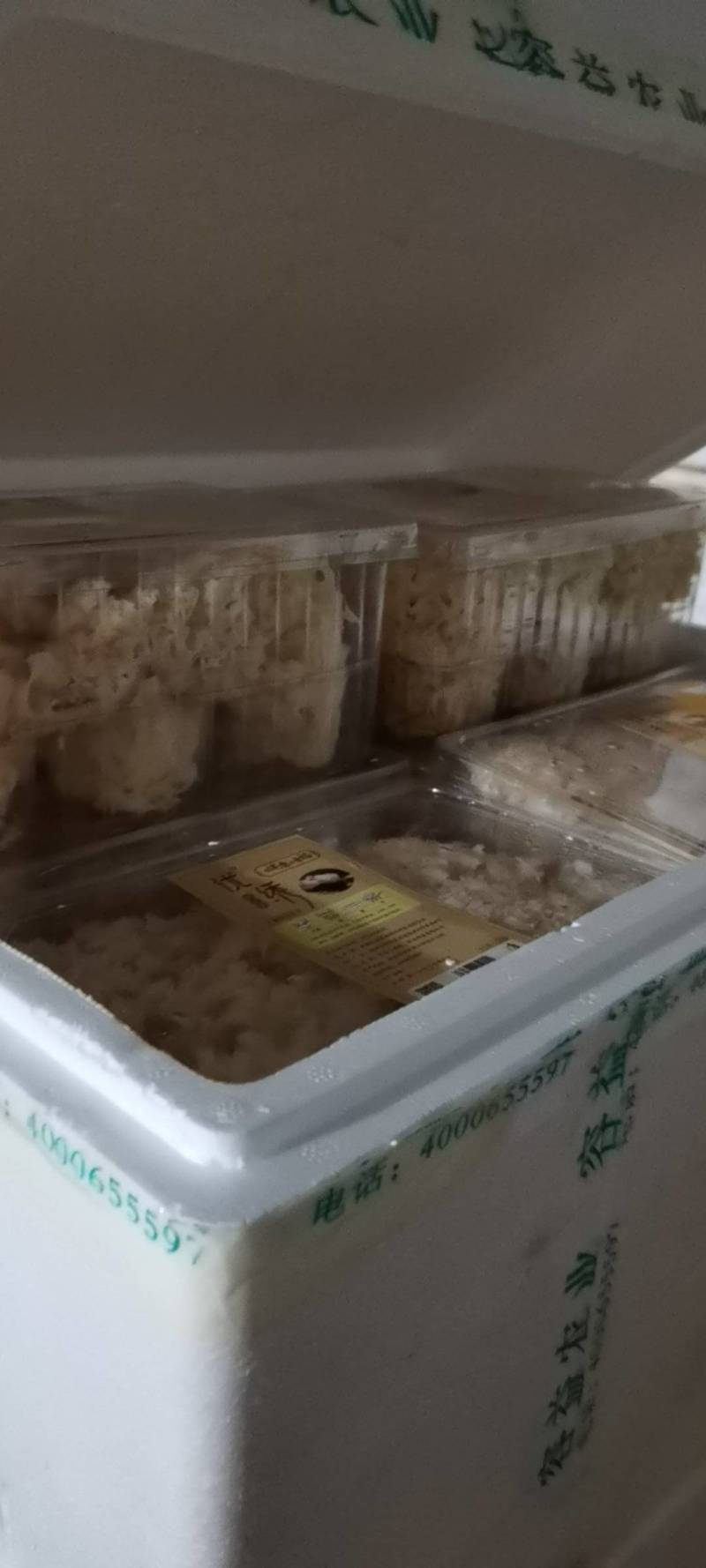 绣球菌基地一手货源供应商超电商欢迎选购