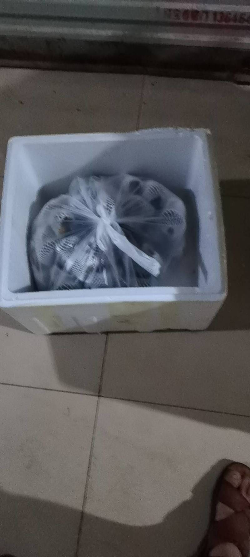 牛肝菌基地一手货源供应商超电商欢迎选购