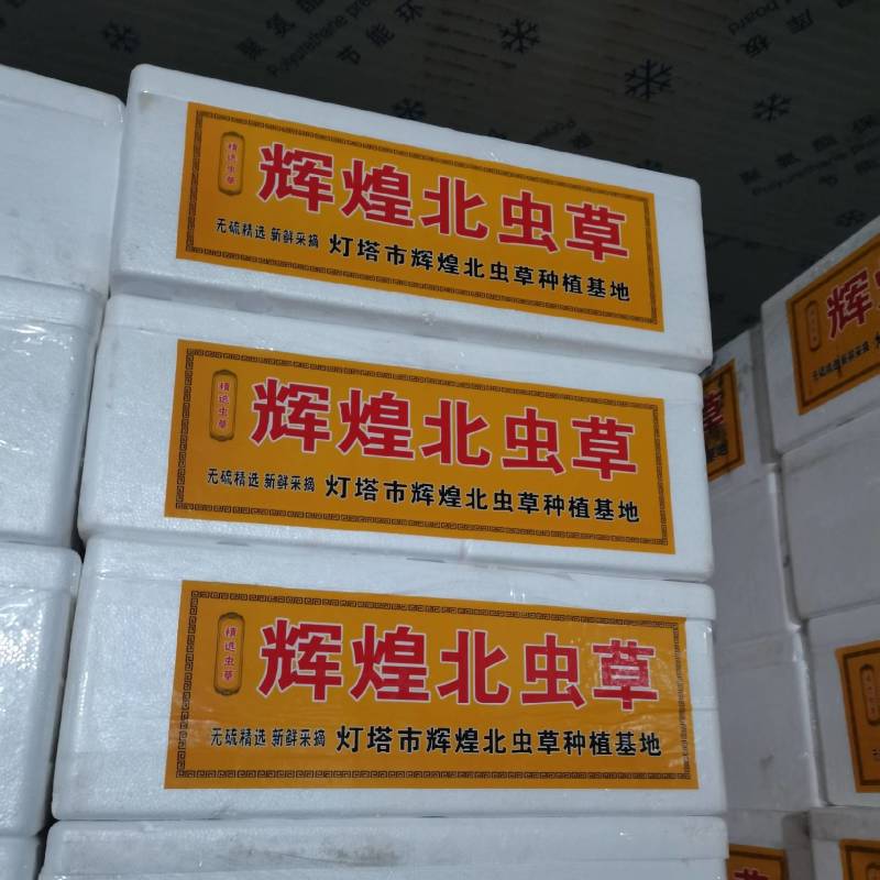 【精品】虫草花产地一手货源价格便宜欢迎选购