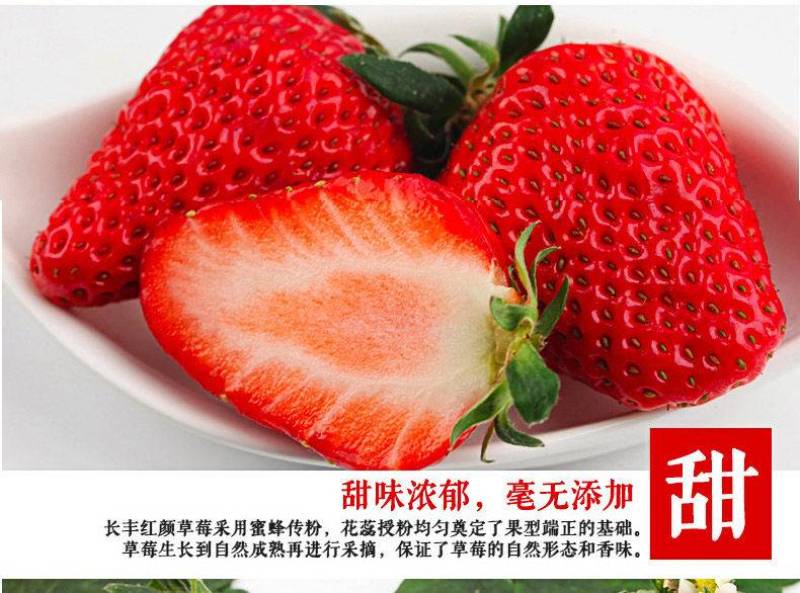 长丰草莓