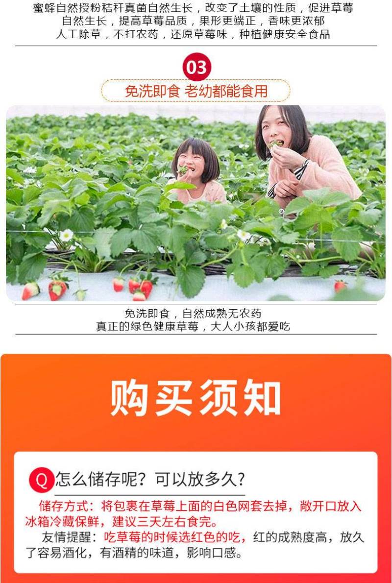 长丰草莓