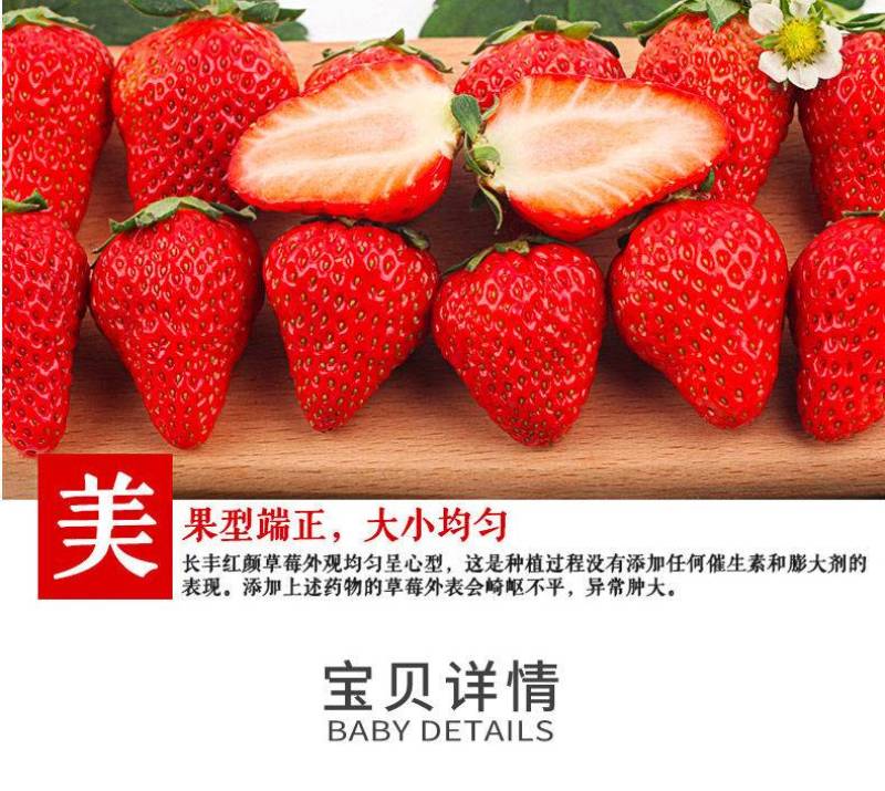 长丰草莓