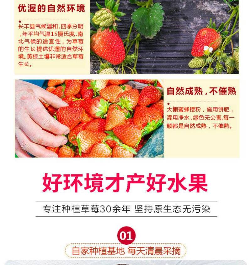 长丰草莓