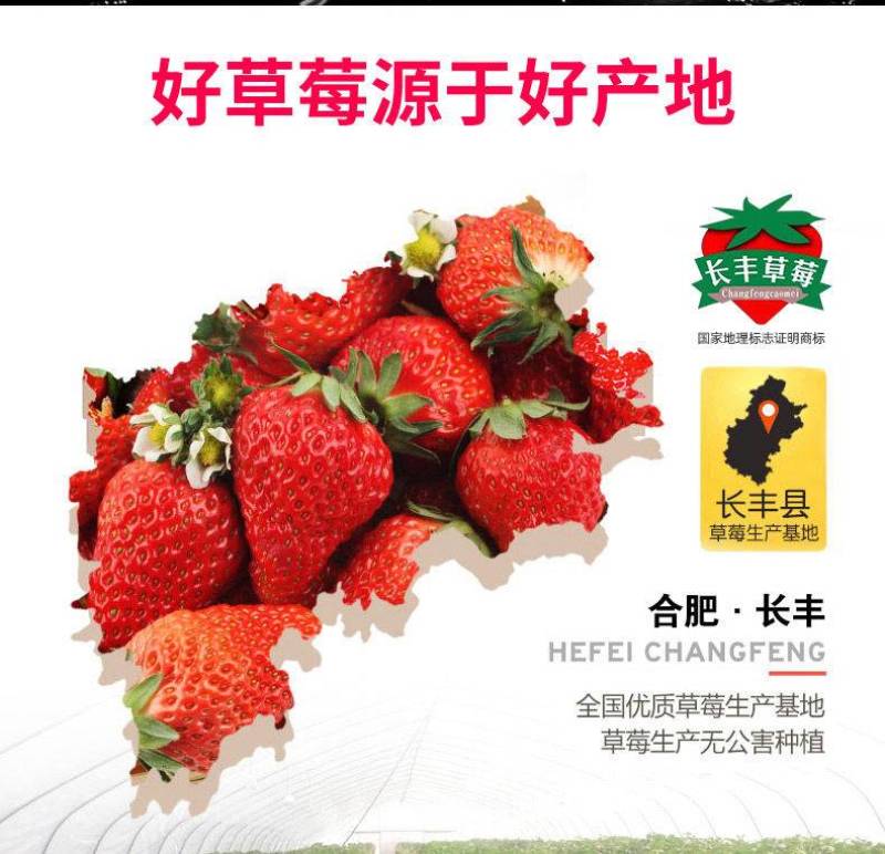 长丰草莓