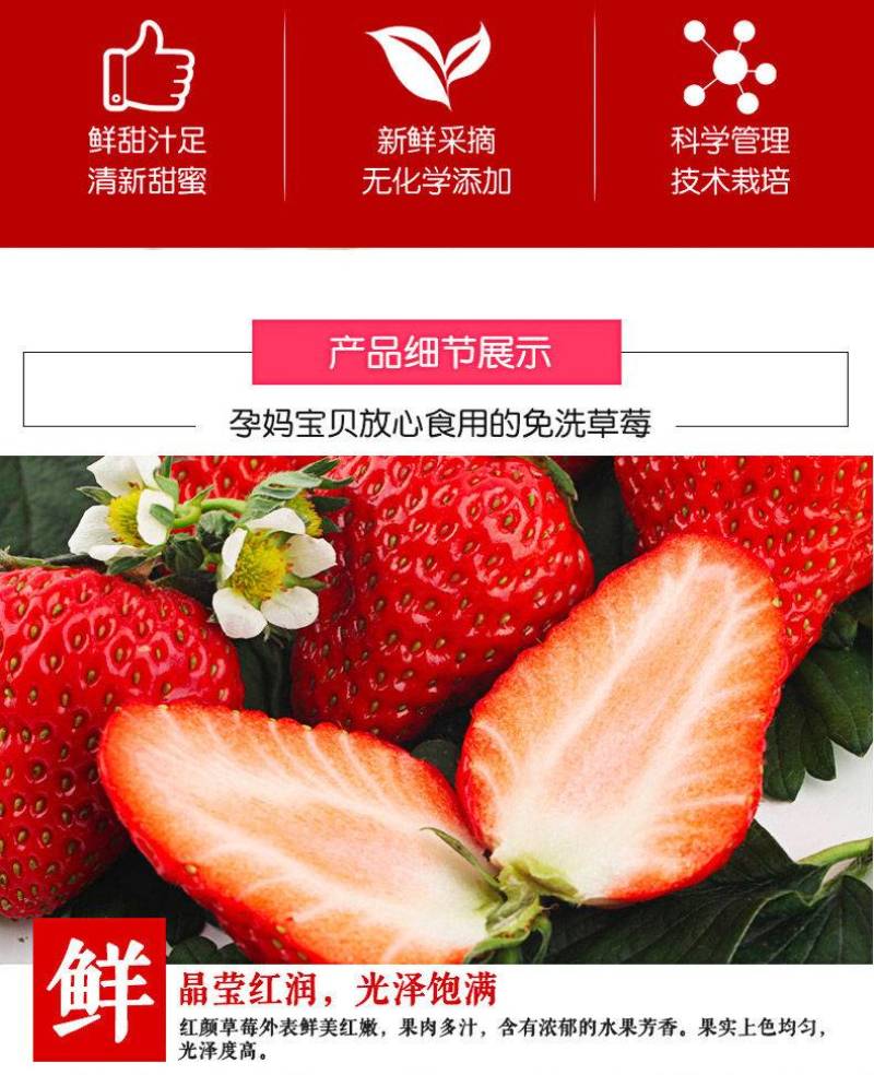 长丰草莓