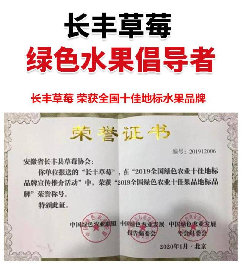 长丰草莓