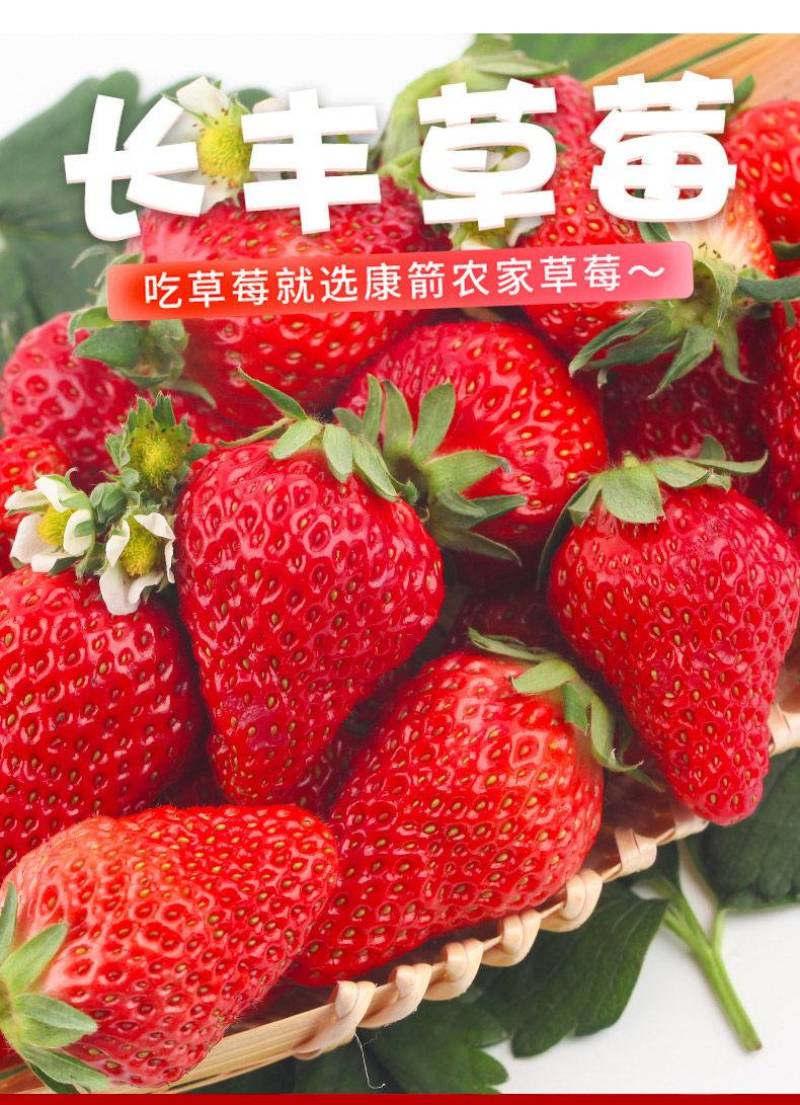 长丰草莓