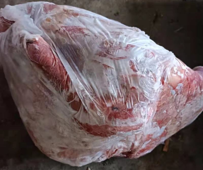 内蒙黄膘牛肉，纯干，修大油，现货一吨，包头发，手续全