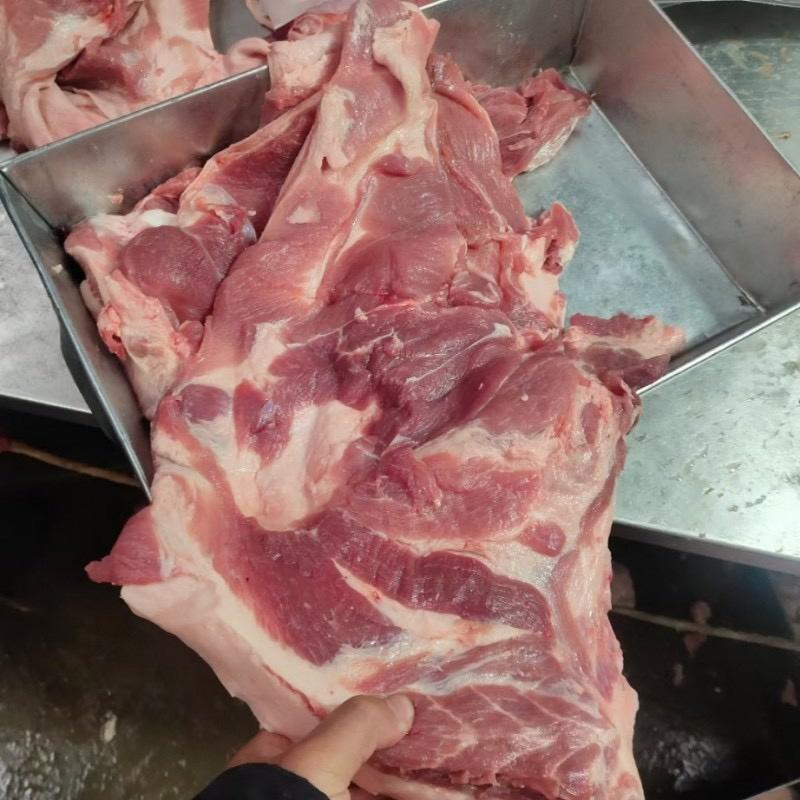 前上肉后上肉支持样品手续齐全质量保证