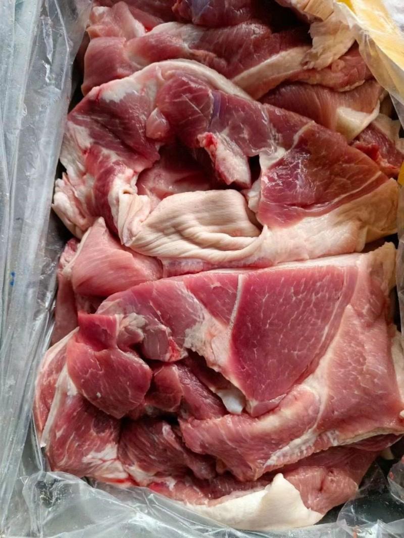前上肉后上肉支持样品手续齐全质量保证