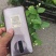各种盆大小茉莉