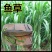 进口高丹草种子牧草种子养殖喂鸡鸭鹅猪牛羊爱吃的高丹王牧草