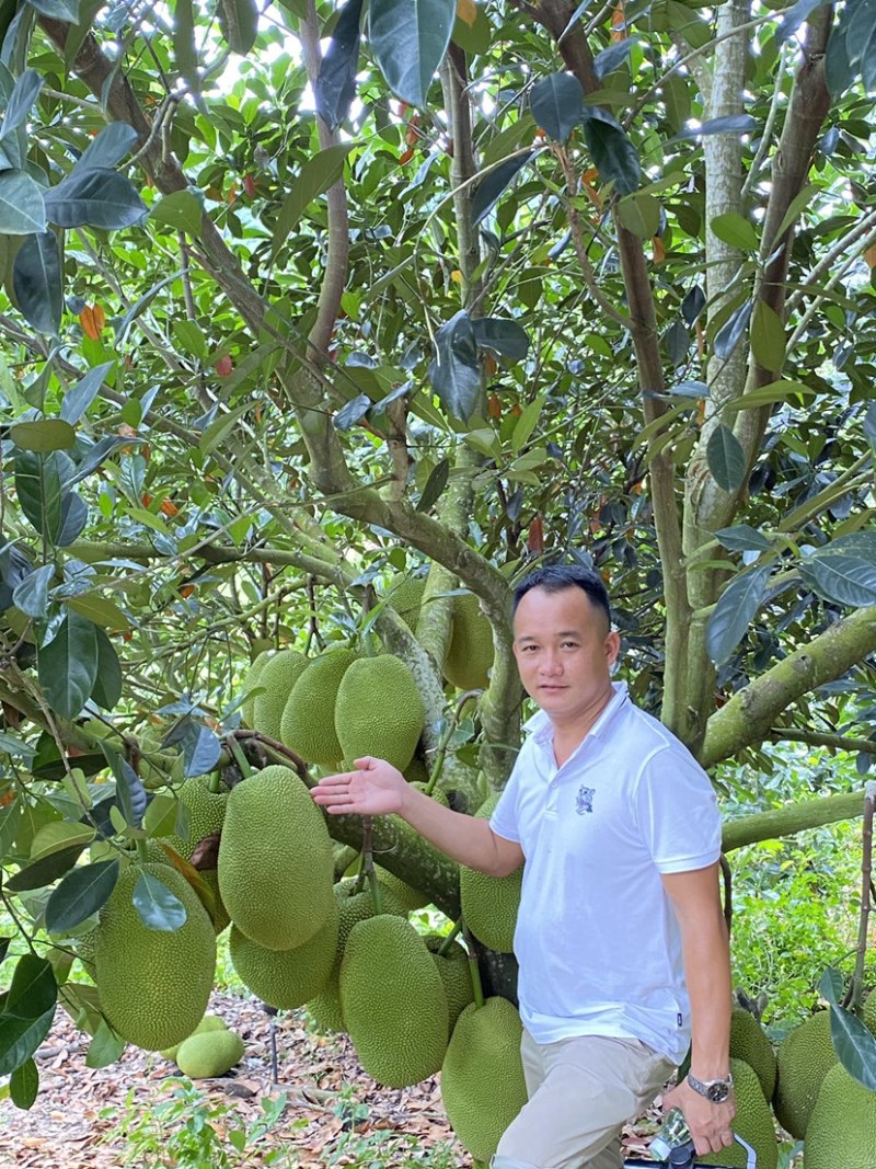 海南陵水珍珠榴莲蜜