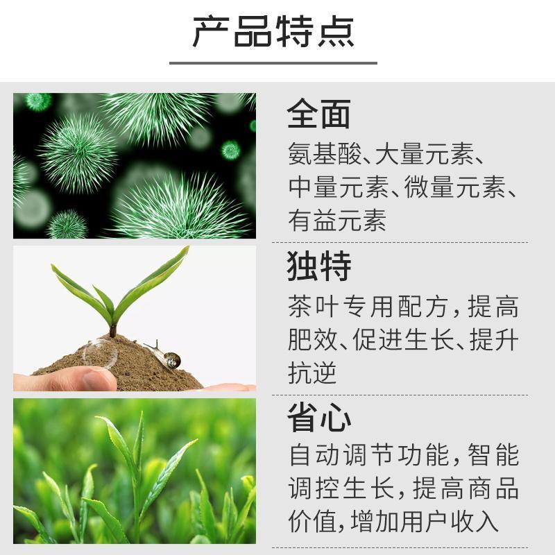 国光茶博士微量元素氨基酸水溶肥料茶树专用叶面肥铁锌硼茶叶